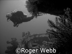 dive on the 'Shakem" by Roger Webb 